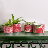 Rose Floral Cachepots