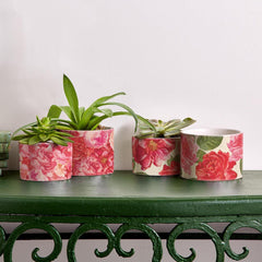 Rose Floral Cachepots