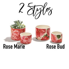 Rose Floral Cachepots